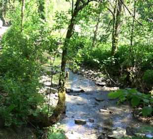 Wanderweg Sieben-Täler-Runde 