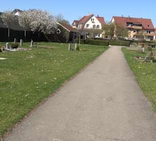 Friedhof