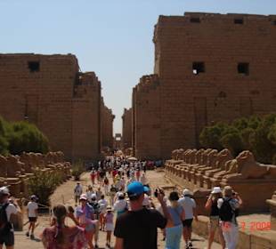 Eingang des Karnak Tempels