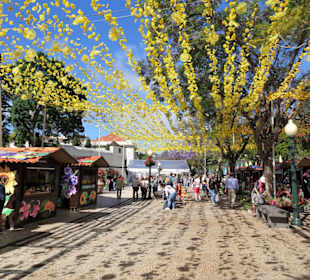 Impressionen vom Blumenfestival in Funchal