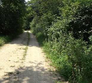 Premiumwanderweg "hochgesprudelt"