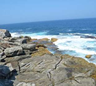 Bondi Beach 
