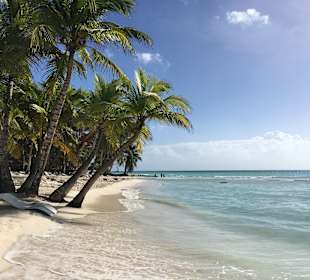 Ausflug Isla Saona
