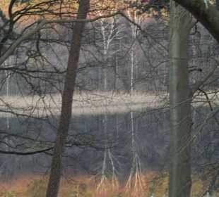 Schulzensee. So klar wie ein Spiegel!