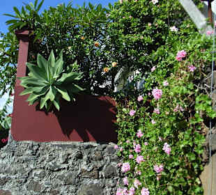 Gasse in Jardim Do Mar