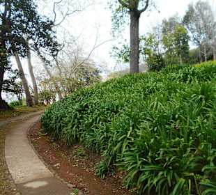 Palheiro Gardens