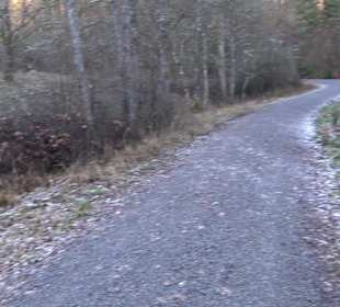 Wanderung rund um den Ochsenweiher
