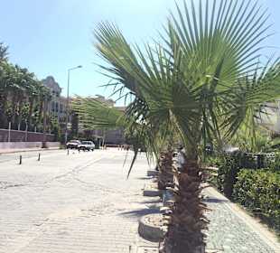 Strandpromenade Evrenseki