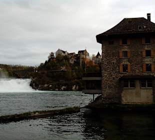 Schloss Laufen in Schaffhausen