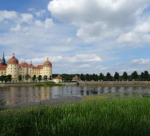 Schloss Moritzburg