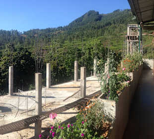 Teeverkostung mitten in den Plantagen