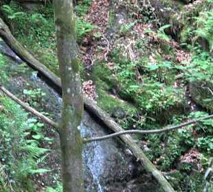 Griesbacher Wasserfälle Bad Griesbach