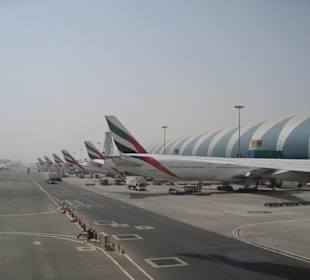 Die Flotte am Terminal 3