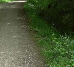 Naturpark Schönbuch