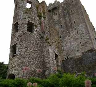 Blarney Castle