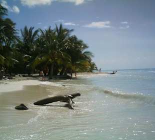 Insel Saona
