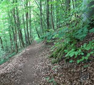 Premiumwanderweg "hochgelegen"