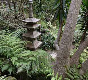 Asiatischer Bereich des Parks