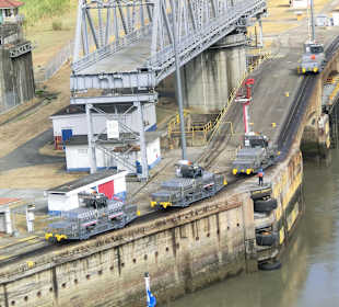 Die Mulis warten auf Ihren Einsatz