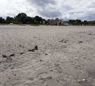 Eckernförder Bucht in Eckernförde