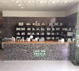 Aloe Vera Fresca Infocenter La Oliva