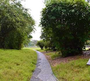 Botanischer Garten Singapur