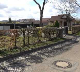 Friedhof Kleinbettlingen