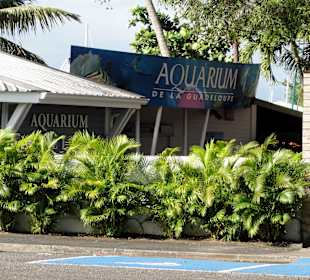 Eingangsbereich des Aquariums