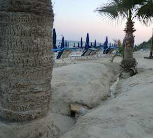 Vergleich erstes Bild