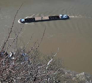 Blick von der Loreley