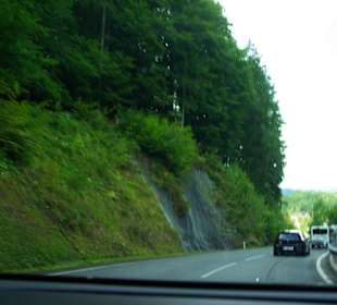 Immer was los auf der Strecke