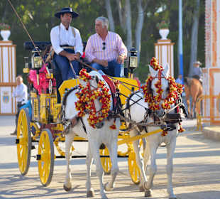 ...auf zur Feria de Primavera in Rota!