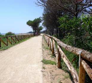Radwege am Strand sehr gute