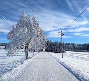 Wandern Rechenberg-Bienenmühle