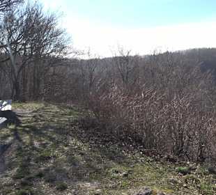 Bolberghütte Willmandingen