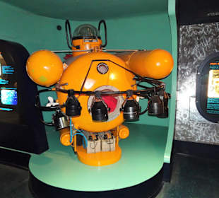 In der Abteilung Meer und Tiefsee