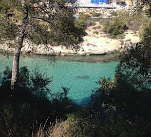 Portal Vells