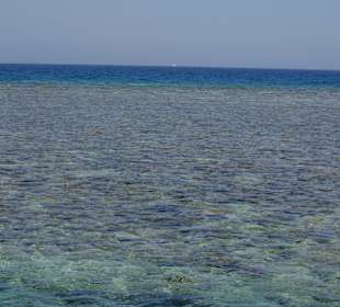 Traumhafte Wasserwelt