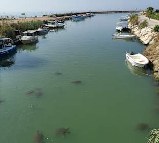 Strandpromenade Evrenseki