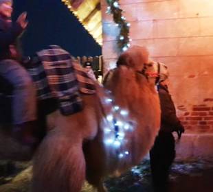 Reiten hierfür mal 6 Euro