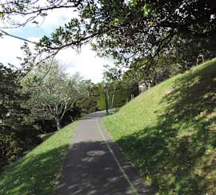 Im Botanischem Garten