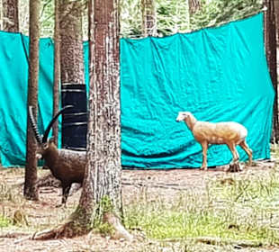 Sehr großer Bereich