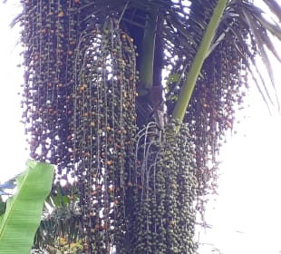 Ausblick von der Terrasse
