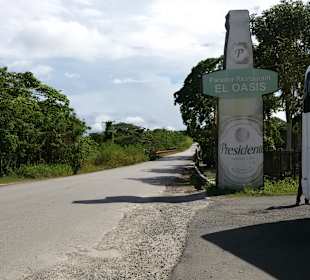 Impression vom Strassenrand bei Ausflug