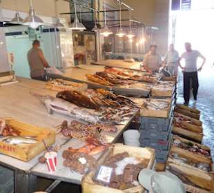 Frischer Fisch