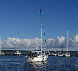 Segler im Hafen Breege