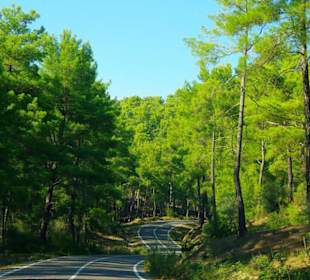 Rafting Selge National Park & Landschaft/An- & Abfahrt