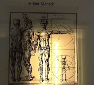 Archäologisches Landesmuseum