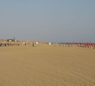 Playa - Mündung des Canale Grande