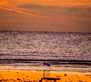 Strände Marsa Alam